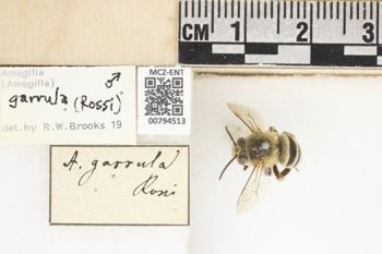 Media type: image;   Entomology 794513 Aspect: labels